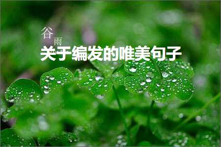 鍏充簬缂栧彂鐨勫敮缇庡彞瀛愶紙鏂囨733鏉★級